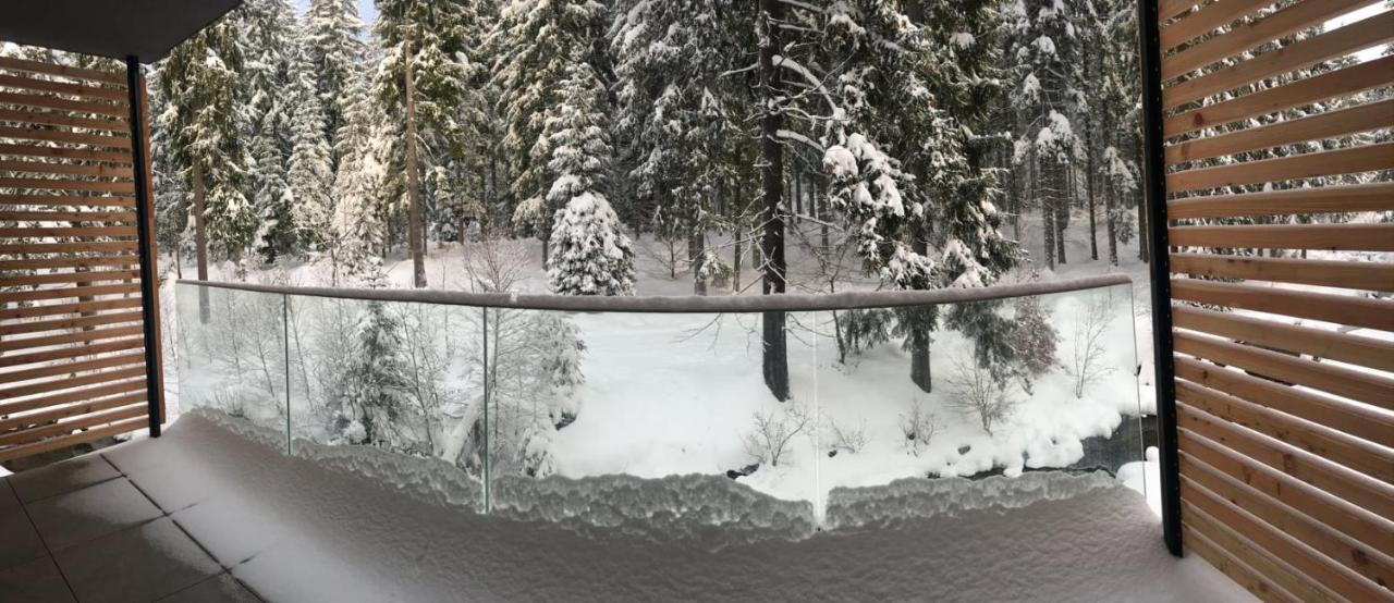 Dolce 1.8 Apartment Harrachov